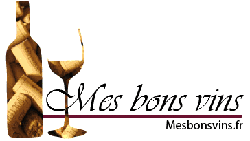 logo-vin2
